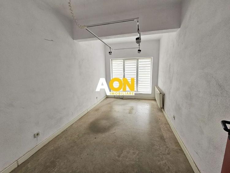 Spatiu industrial pentru productie sau depozitare, 1600 mp, Sebes - 19