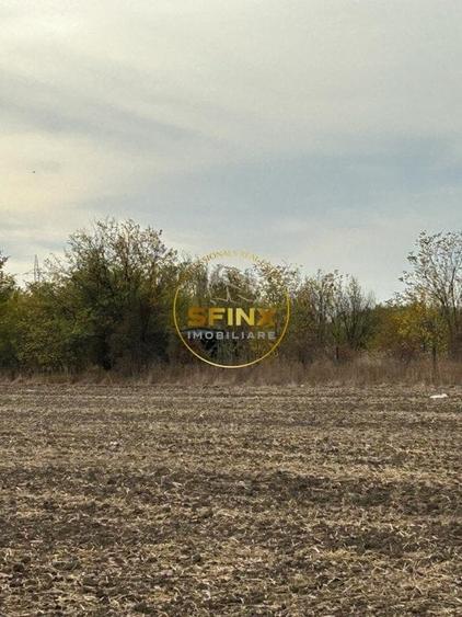 Teren Sabareni, intravilan 5600 mp , dezmembrat,  buna investitie - 1