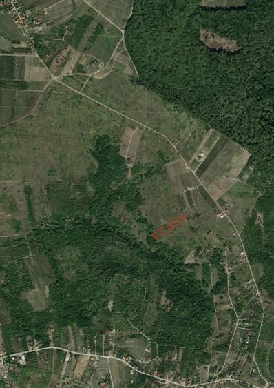 De vanzare teren cu poten?ial investi?ional ridicat - IMOBIHOR - 50 000 - 2