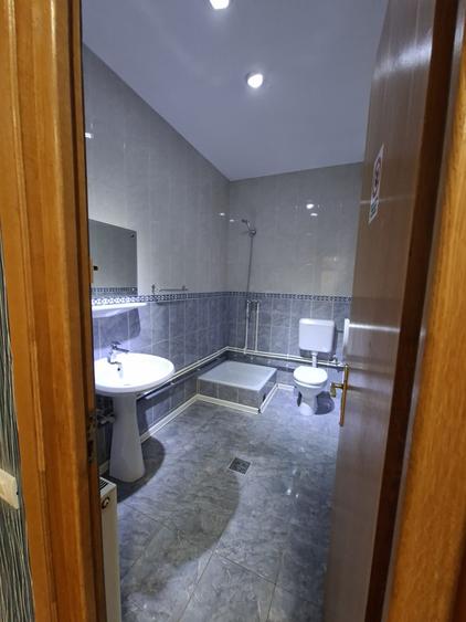 Spatiu Comercial Mircea cel Batran - 7