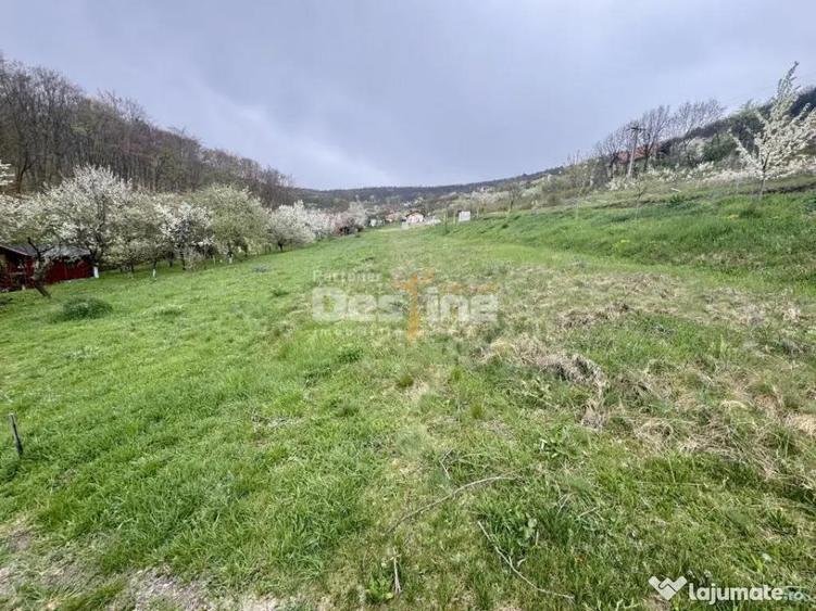 Teren intravilan Deva- Roci - 3