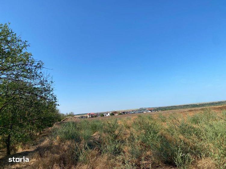 Vand teren intravilan arabil in Valu lui Traian - 4