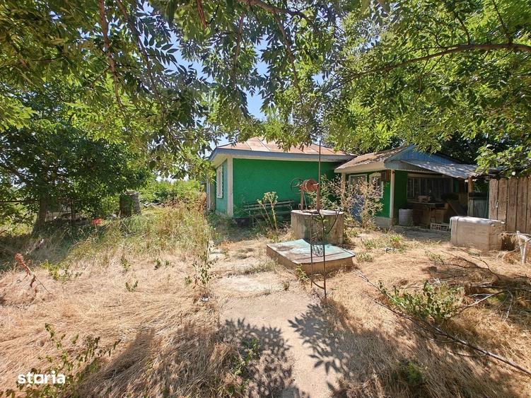 Doua case si 9.300 mp de teren in zona Bogdanesti - 2