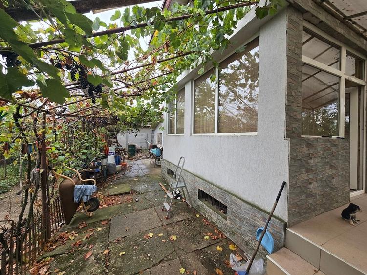 Magurele/Darasti-Ilfov/Vila individula cu crama,garaj,foisor,livada si solar - 19