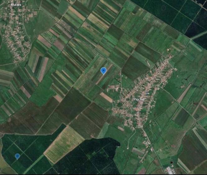 Vand 28.500 mp la iesirea din Pischia spre Murani - 2