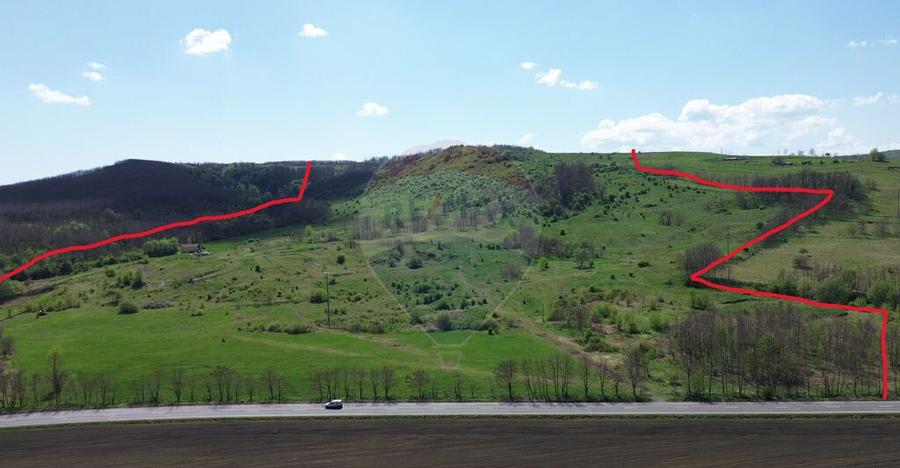 Domeniu - 66 Hectare - Teren deosebit Copsa Mica cu desch... - 13