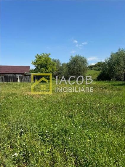 Casa parter (caramida) cu anexa (BCA) pe un teren 1180 mp, sat Strugari, jud Bac - 3