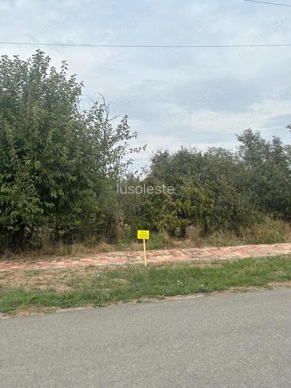 Proprietar vand teren 1439 mp pe strada DEJ, oras Sanicolau Mare Proprietar vand teren 1439 mp pe strada DEJ, oras Sanicolau Mare
