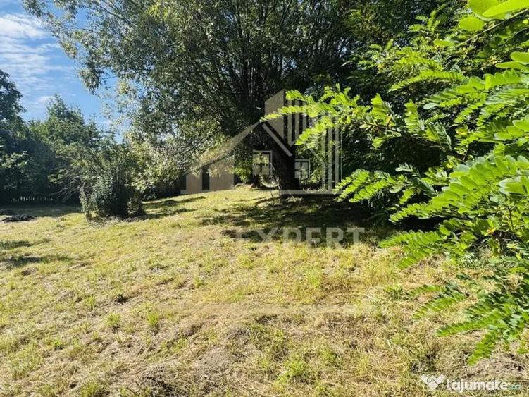 TEREN INTRAVILAN 3234 MP LERE?TI VOINE?TI ARGE? - 5