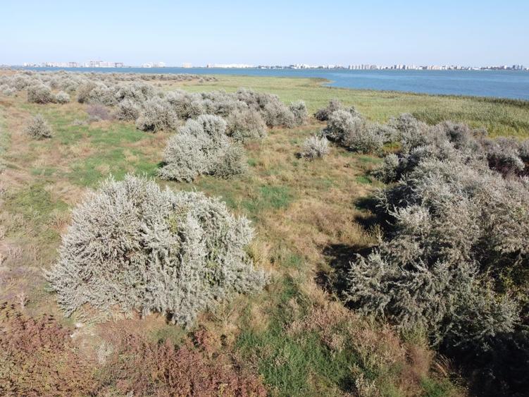 Teren de vanzare primul rand la lacul Siutghiol  Mamaia Sat - 2