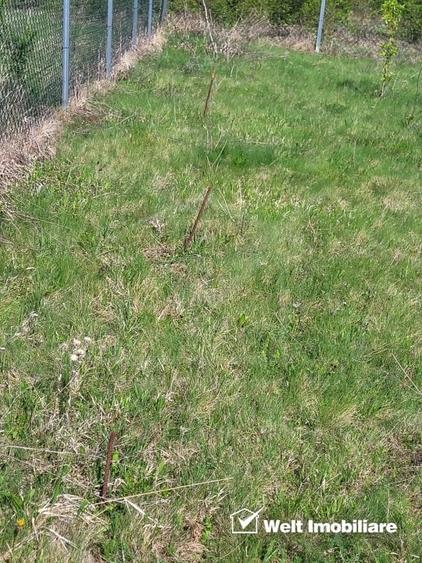 Teren extravilan 2000 mp, imprejmuit, panorama superba – Salicea (Cluj) - 8