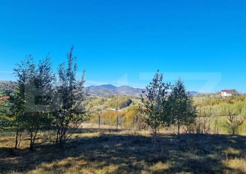 Teren pentru casute de vacanta - Poiana Marului - vedere la - 3