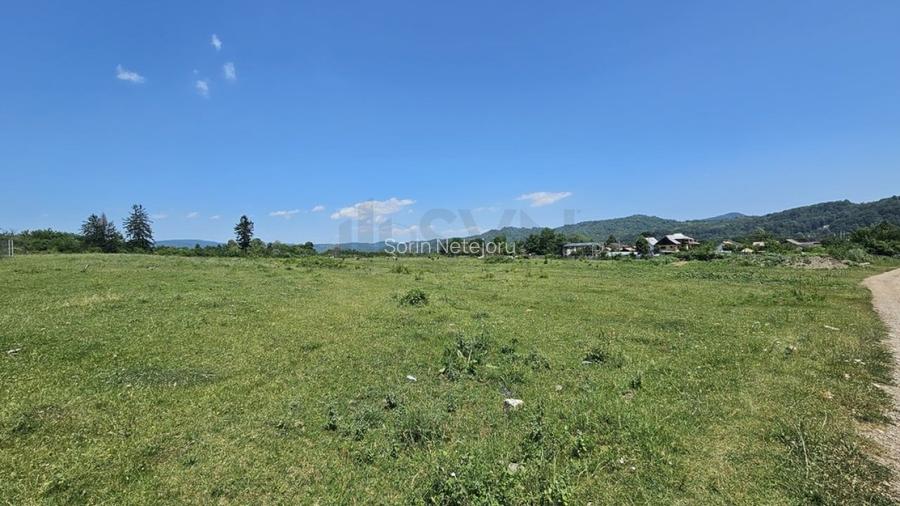 Teren Construcții intravilan de 1209 mp, în Câmpina
