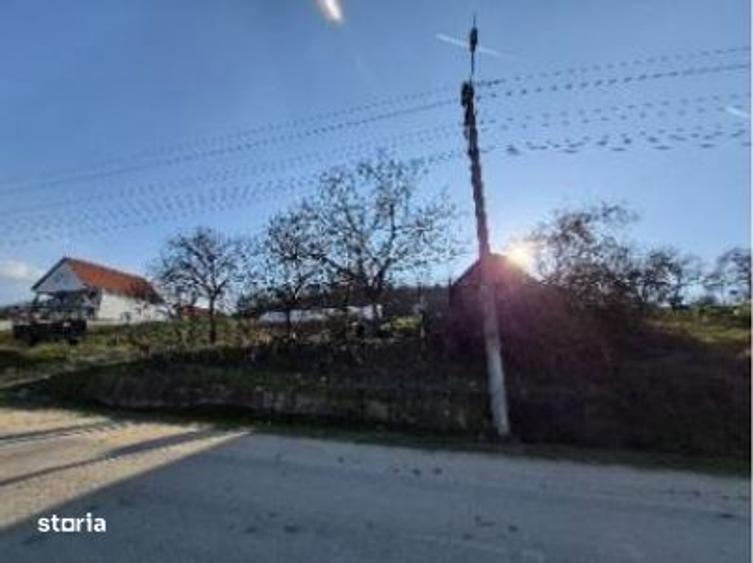 Teren intravilan arabil-com. Dumbrava, jud. Timis - 8