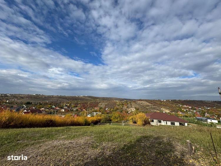 Teren intravilan Dealuri Oradea 3649 mp - 4