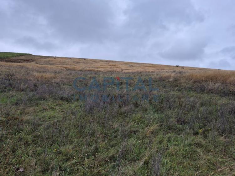 Oportunitate de investitie! Teren extravilan 11 400 mp, Apahida - 5