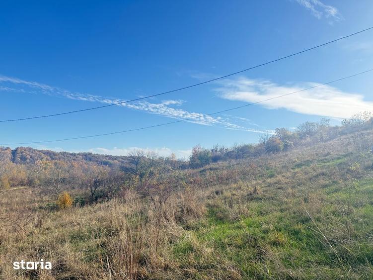 Teren de 1984 mp, în Răzvad