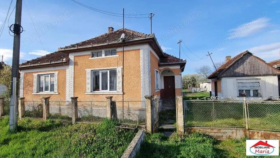 Casa cu teren 14,40 ari in Corod-Culciu jud Satu Mare - 11