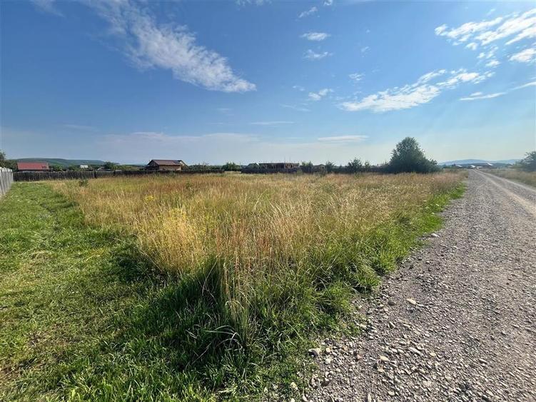 TEREN INTRAVILAN, HARMAN - 1