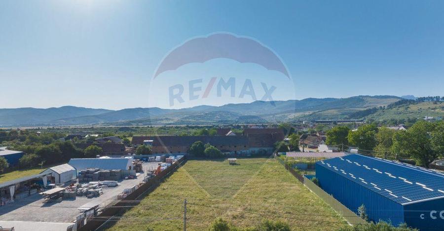 Teren Industrial, 3300 mp, / DJ 112D, Carpinis - 4