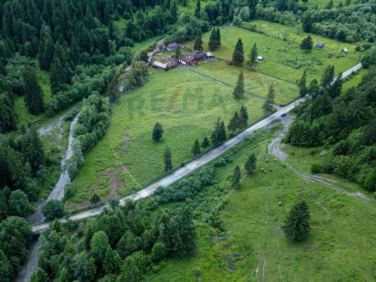 Ferma de vanzare, teren 21436 mp intravilan, Cosnea, Agas - 11