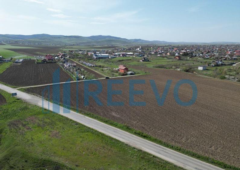 Teren de vanzare, Com. Nicolae Balcescu, Jud. Bacau - 7