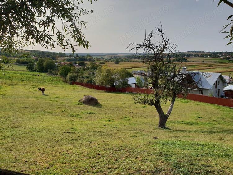 Casa batraneasca - 4