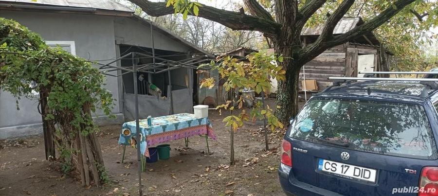 vand casa cu curte si teren in Padina Mica, Mehedinti - 4