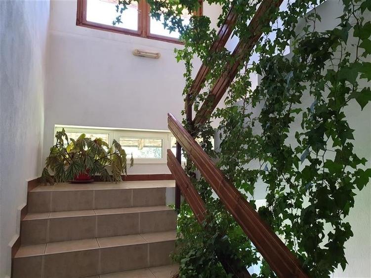 Pensiune incadrata de 2.350 teren, Bran - Fundata, Brasov - 6