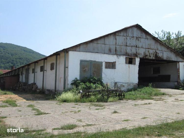 Teren agricol de 12 579 mp si contructii 5 161 mp - 2