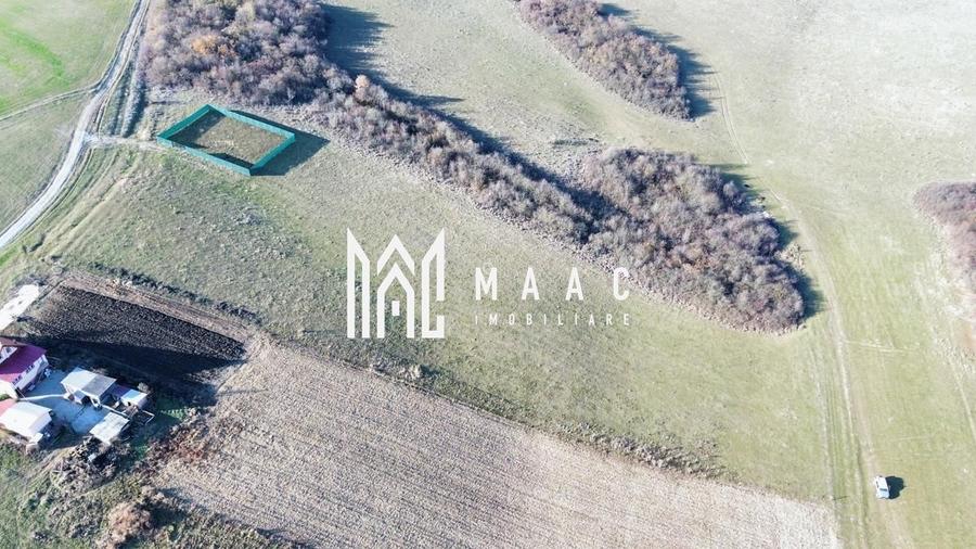 Teren | 651MP | Extravilan | Rusciori - 9