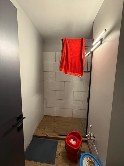 Baba Novac Campia Libertatii - Piata Muncii - Parc IOR - 5