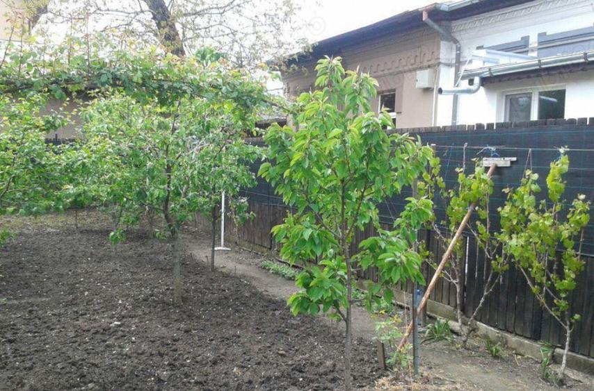 Casa - Sos. Viilor - 5