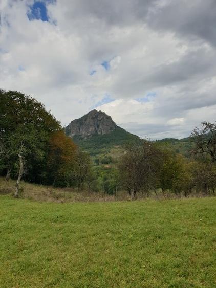 Hărțagani, teren intravilan 8500 m2, acte, superb, liniste, eco - 2