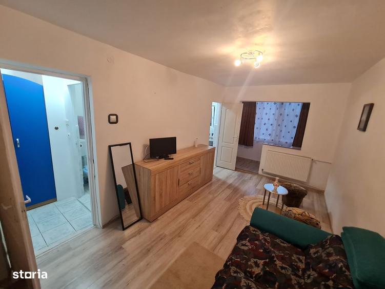 Inchitiez Garsoniera Confort 1 Micalaca Cenad,proaspat Zugravita Eta3 - 18