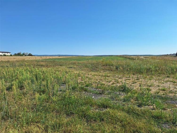 Reco, Teren intravilan Osorhei - 7