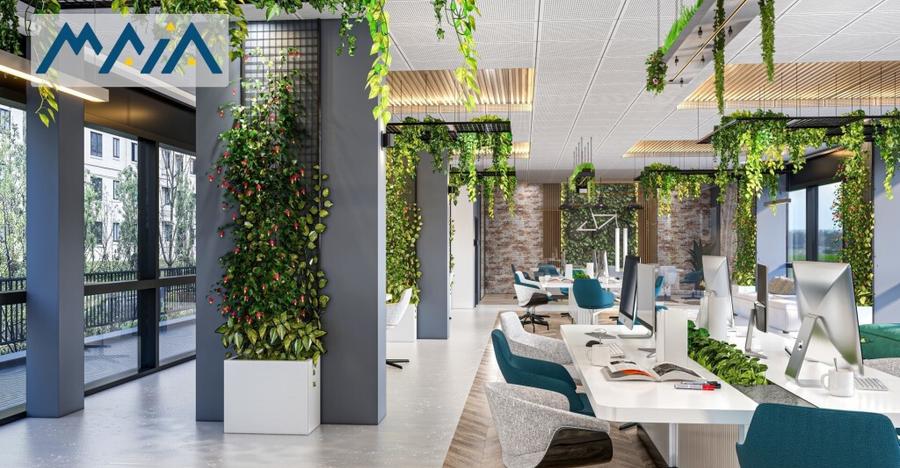 Birouri | Clinica | Spatiu comercial | Cluj Napoca | Zorilo - 3