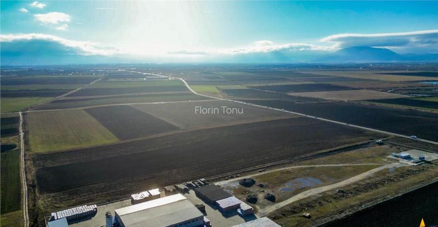 FILM! 60.000mp:strategica parcela urbana, documentatie aprob