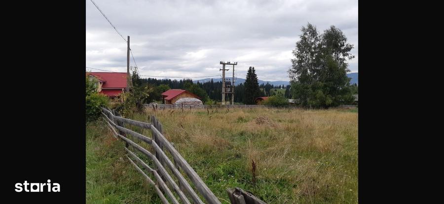 Teren de 6770 mp, în Șaru Dornei
