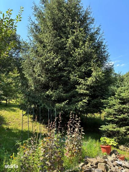 Casă cu 2 camere cu Teren 685 Mp în Central