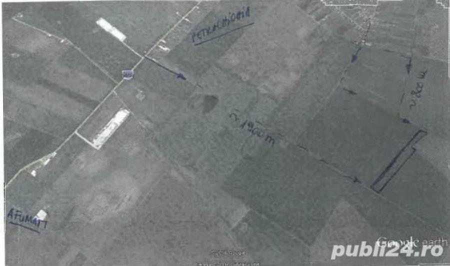 Teren de 35000 mp, în Petrăchioaia