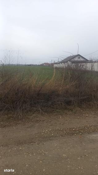 Teren de 491 mp, în Balotești