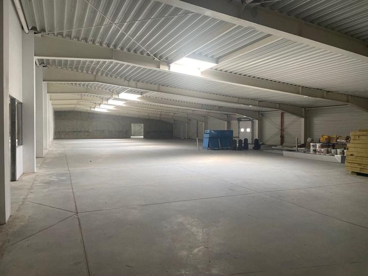 Spațiu industrial, de 4,600 mp, în Sânandrei