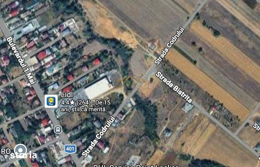 Teren intravilan 430 mp | Direct la asfalt | Str. Codrului, Berceni - 4