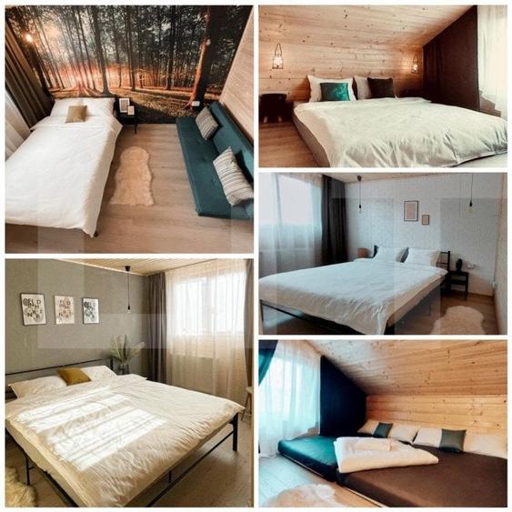 Proprietate deosebita, cabana in stil scandinav, 250 mp utili, Belis - 6