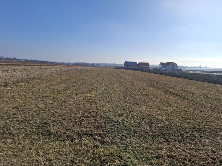 Vand teren extravilan - intravilan 4500 mp2 - 6