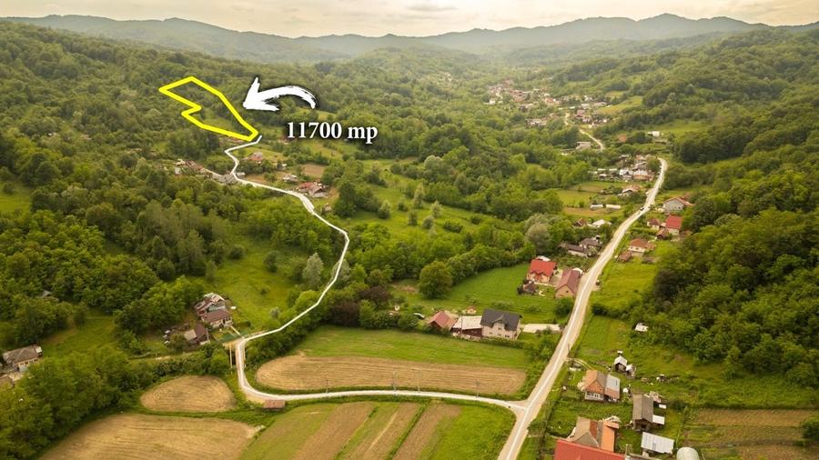 Teren 11700 mp în Valea Lungă, o oază de liniște, aer curat și verdeață - 2