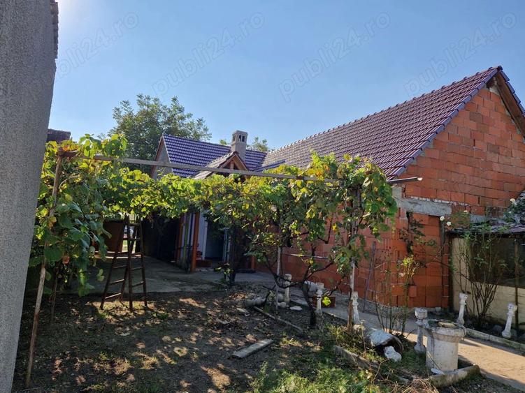 Casa de vanzare in orasul Deta - 2