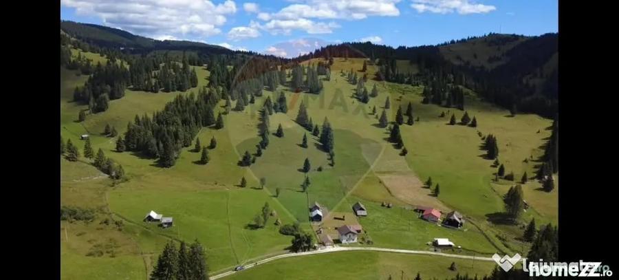Teren de 14318 mp, în Paltin