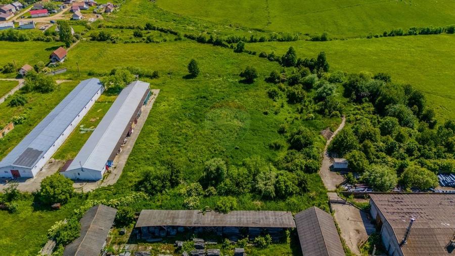 Închiriez Teren Industrial 9.335 mp – Teliu, Brașov (DN10) – Acces TIR - 4